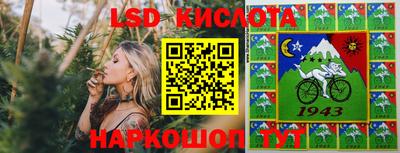 дмт Пенза
