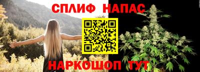 дмт Пенза
