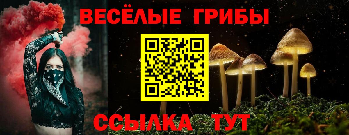 Орск  Галлюциногенные грибы GOLDEN TEACHER  Вход с VPN 